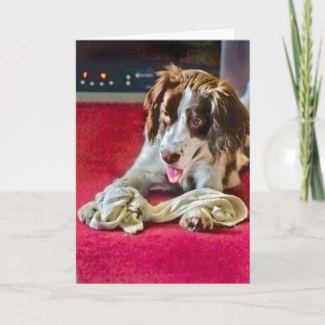 Spielzeit-Karte Feiertagskarte (Vorderseite)