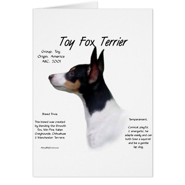 Spielzeug Fox Terrier Historiendesign (Vorne)