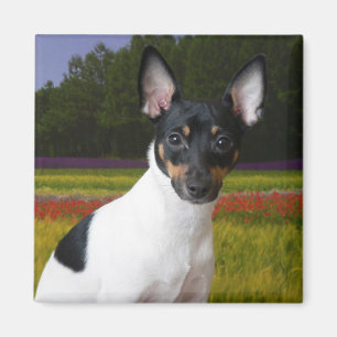 Spielzeug-Foxterrier-Magnet Magnet