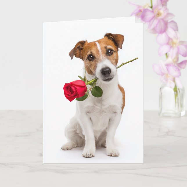 Spielzeug-Fuchs-Terrier Valentinstag Karte (Orchidee)
