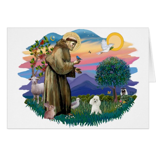 Spielzeug Poodle (weiß) (Vorderseite (Horizontal))