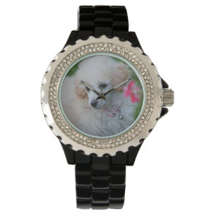 Spielzeug-Pudelhundediamante de Armbanduhr