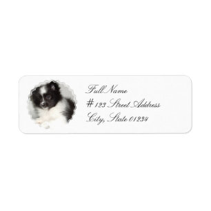 Spielzeug-Spitz-Hundemailings-Aufkleber