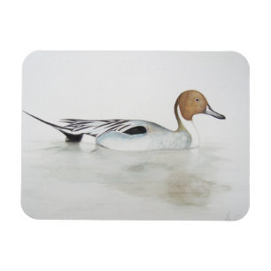 Spießenten-Ente 2011 Magnet