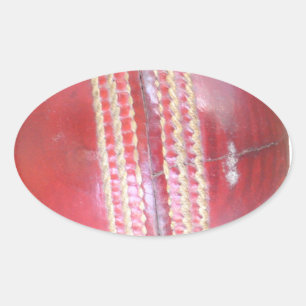 Spin Master's Sphere: Ein lustiger linker Spin Cri Ovaler Aufkleber