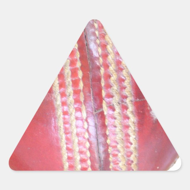 Spin Master's Sphere: Ein Spaß Verlassen Spin Cric Dreieckiger Aufkleber (Vorderseite)