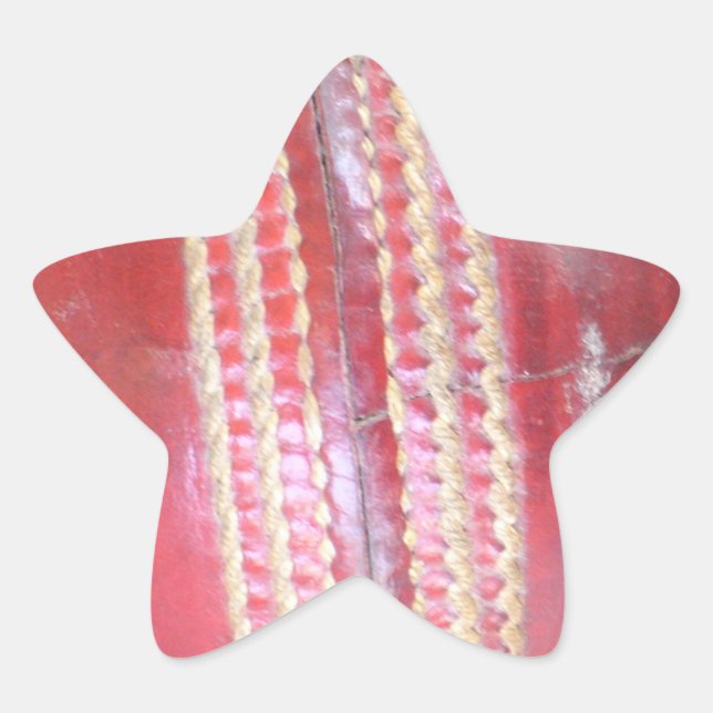 Spin Master's Sphere: Ein Spaß Verlassen Spin Cric Stern-Aufkleber (Vorderseite)