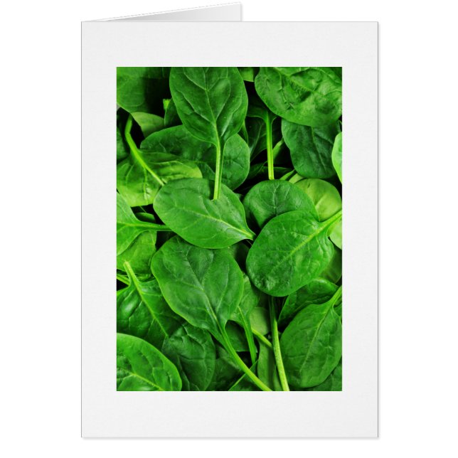 Spinach (Vorne)