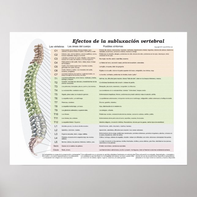 Spinale Subluxation Chiropraktische Effekte Poster (Vorne)