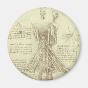 Spinalsäule des Menschen von Leonardo da Vinci Magnet