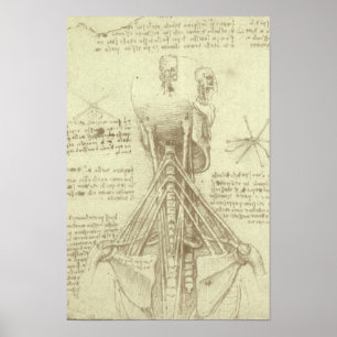 Spinalsäule des Menschen von Leonardo da Vinci Poster
