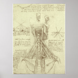 Spinalsäule des Menschen von Leonardo da Vinci Poster