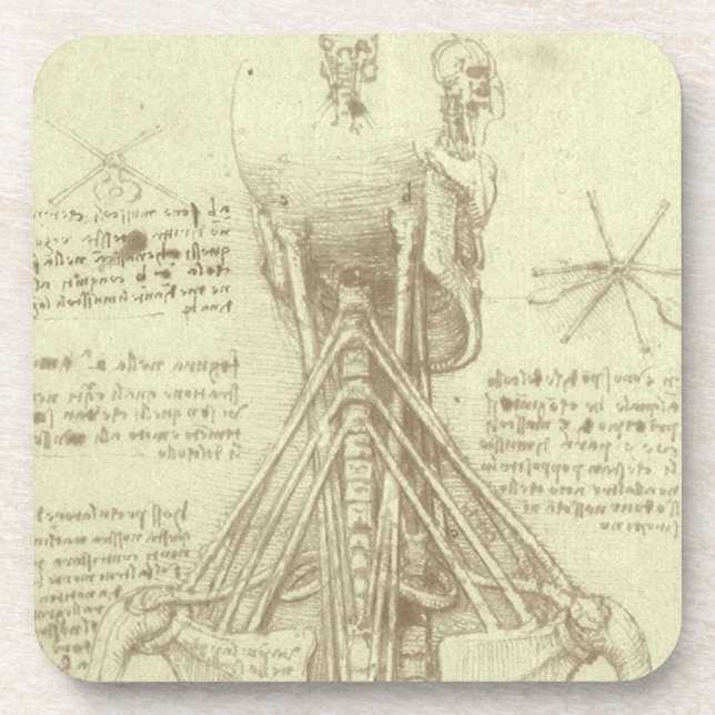 Spinalsäule des Menschen von Leonardo da Vinci Untersetzer (Vorderseite)