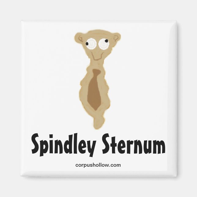 Spindley Sternum Magnet (Vorne)