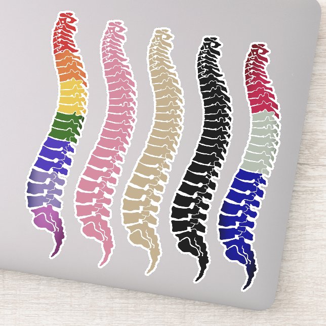 Spine-Laptop-Aufkleber, Rückenaufkleber, chiroprak Aufkleber (Detail)