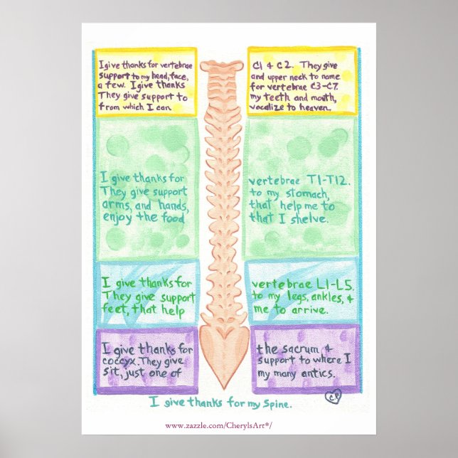 Spine Poster - Ich danke Ihnen für die Wirbelsäule (Vorne)