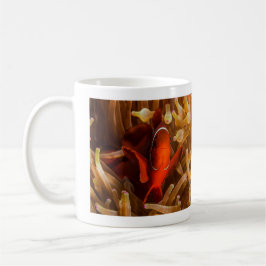 Spinecheek Anemonefish der korallenrotes Tasse