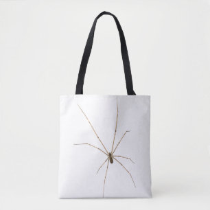 Spinne