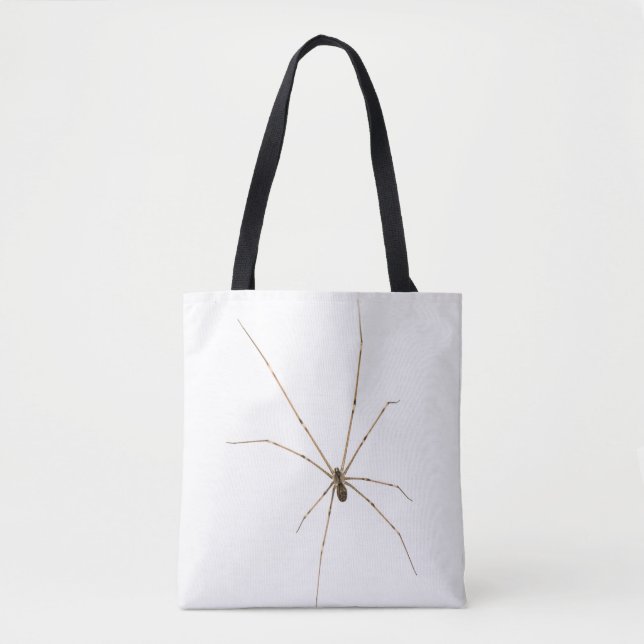 Spinne (Vorderseite)