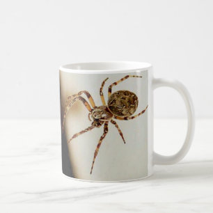 Spinne 01 tasse