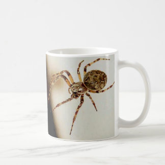 Spinne 01 tasse