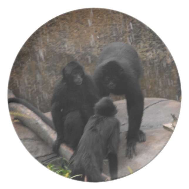 Spinne-Affe Abendessen-Waren Melaminteller (Vorderseite)