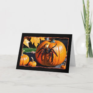 Spinne auf KürbisHalloween-Karte Feiertagskarte