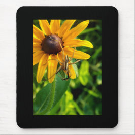 Spinne auf Sonnenblumenmousepad Mousepad