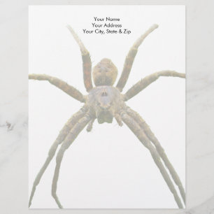 Spinne Briefbogen