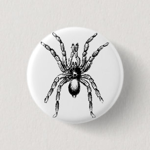 Spinne Button