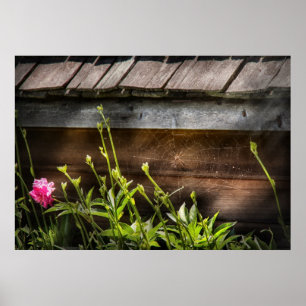 Spinne - Charlottes Netz Poster