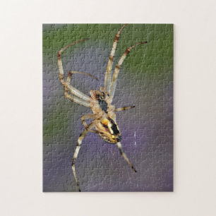 Spinne im Internet Puzzle