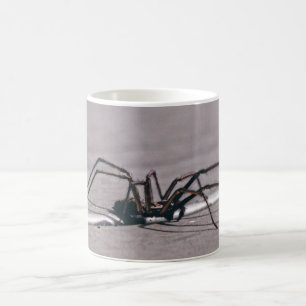 Spinne Kaffeetasse