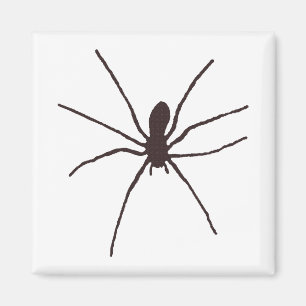 Spinne Magnet