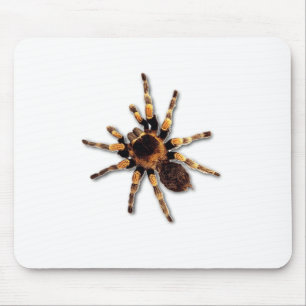 Spinne Mousepad
