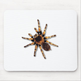 Spinne Mousepad