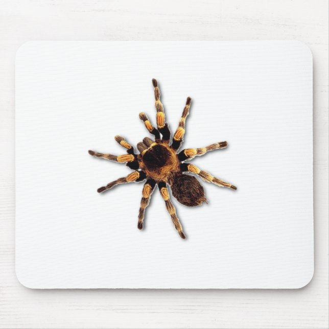 Spinne Mousepad (Vorne)