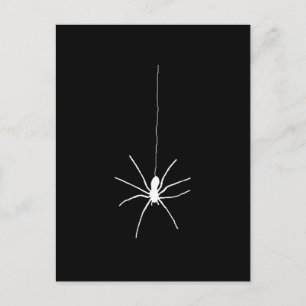 Spinne Postkarte