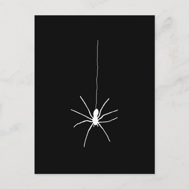 Spinne Postkarte (Vorderseite)