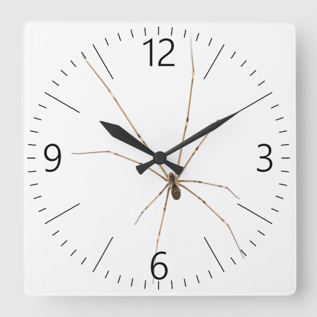 Spinne Quadratische Wanduhr (Vorderseite)