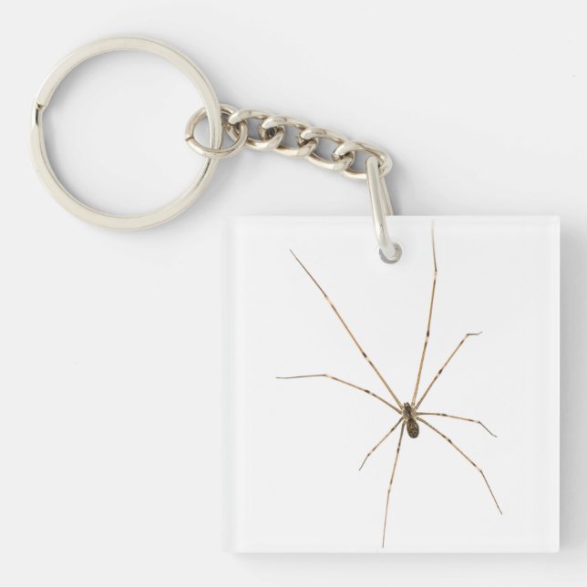 Spinne Schlüsselanhänger (Vorderseite)