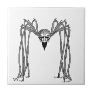 Spinne . schwarz-weiß fliese