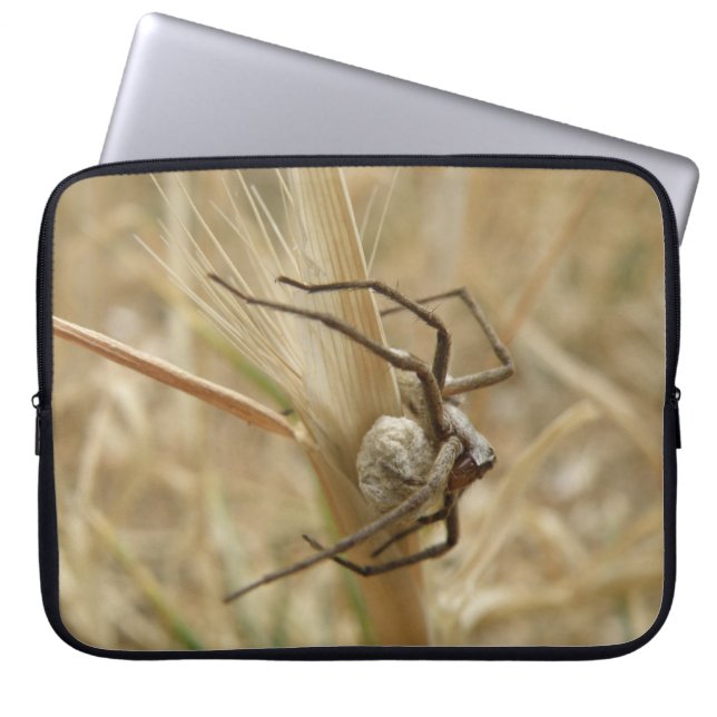Spinne und Eierkocher Laptopschutzhülle (Vorderseite)