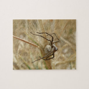 Spinne und Eierpuzzle Puzzle