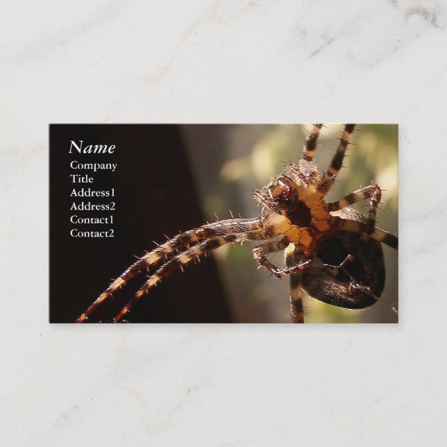 Spinne - Visitenkarten Visitenkarte (Vorderseite)