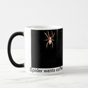 Spinne will Kaffee Verwandlungstasse