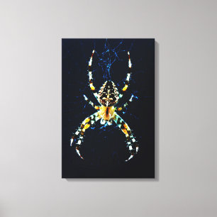 Spinnen des europäischen Gartens 16x24 (40x60cm) W Leinwanddruck
