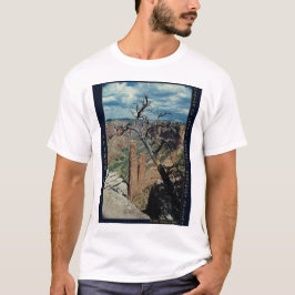 Spinnen-Felsen, nationales Monument AZ Canyon de T-Shirt