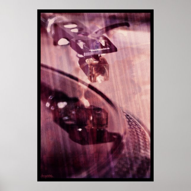 Spinnen im Dunkeln Poster (Vorne)