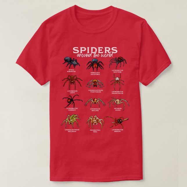 Spinnen in der Welt T-Shirt (Design vorne)